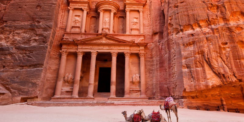 Tre kameler framför stenstaden Petra.