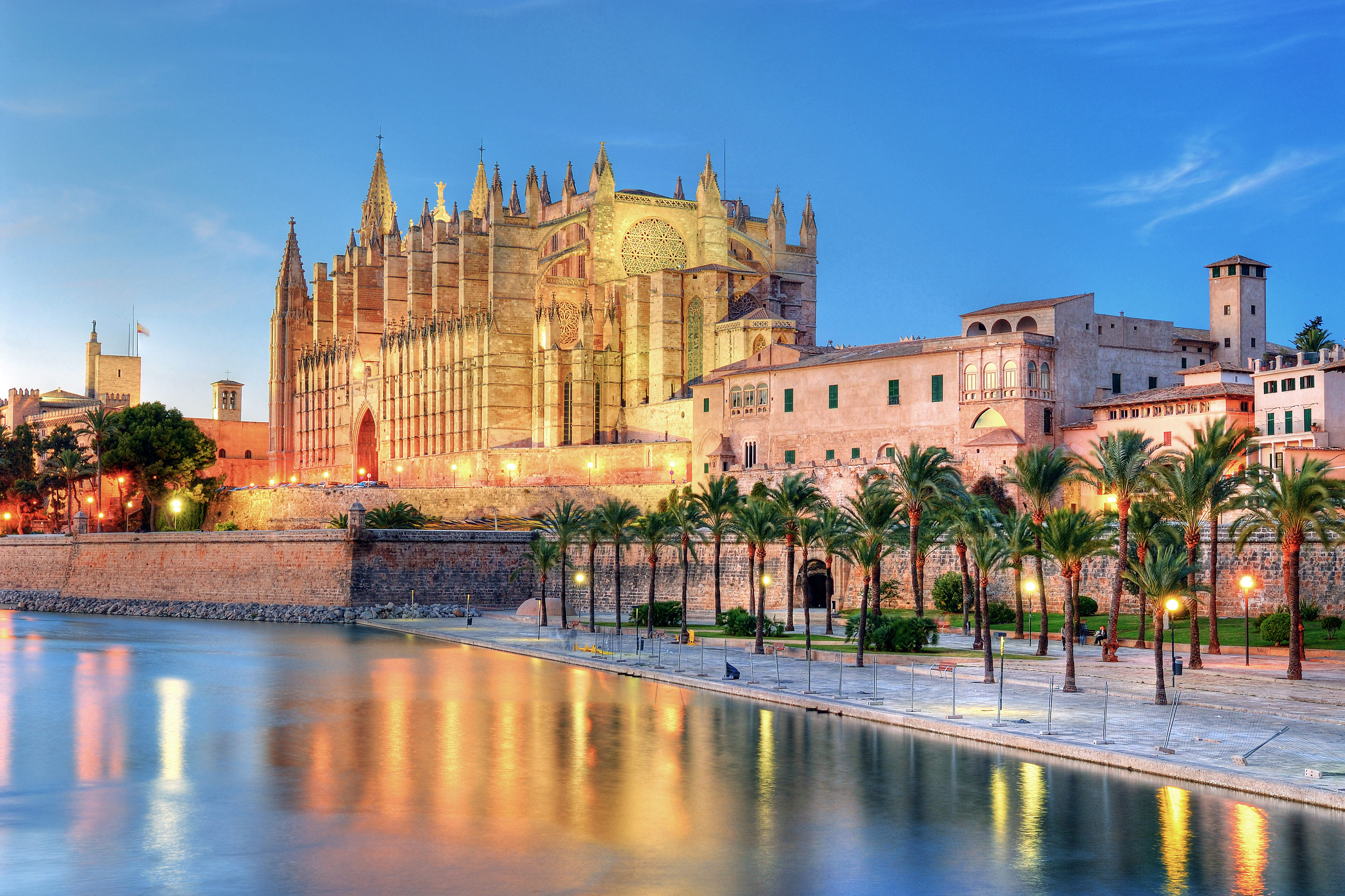 Palma Mallorca strand och palmer