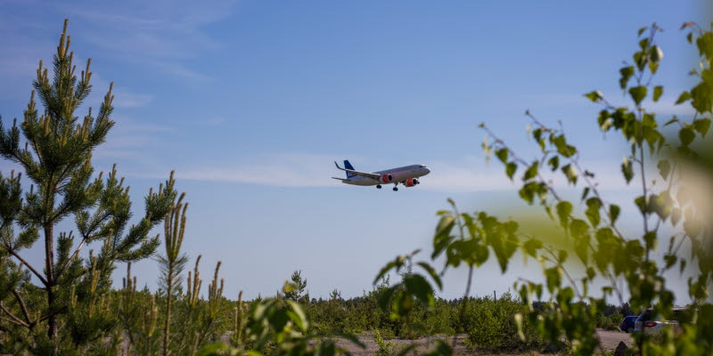 An airplane against the sky and green plants in the foreground
