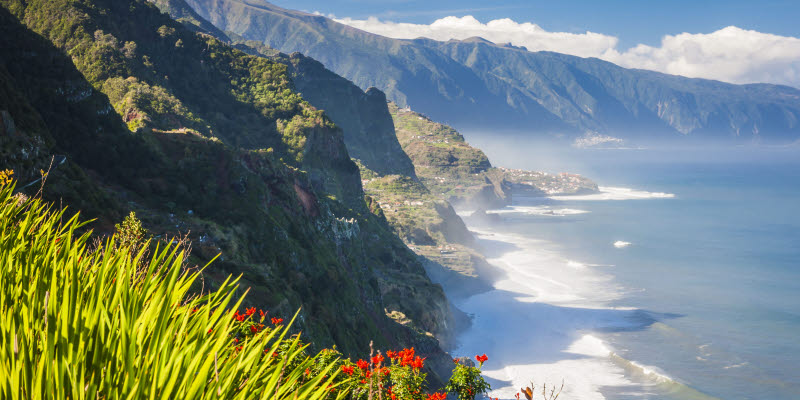 Blommor med kust i bakgrunden på Madeira