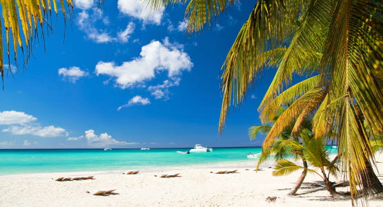 Strand och palmlöv med turkost vatten i bakgrunden