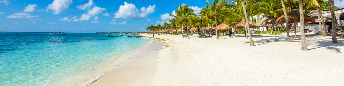 Strand med palmer i Mexico