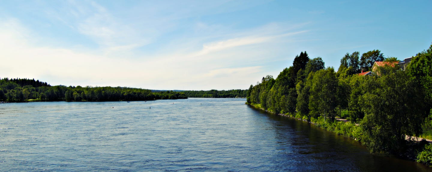 Umeå på sommaren