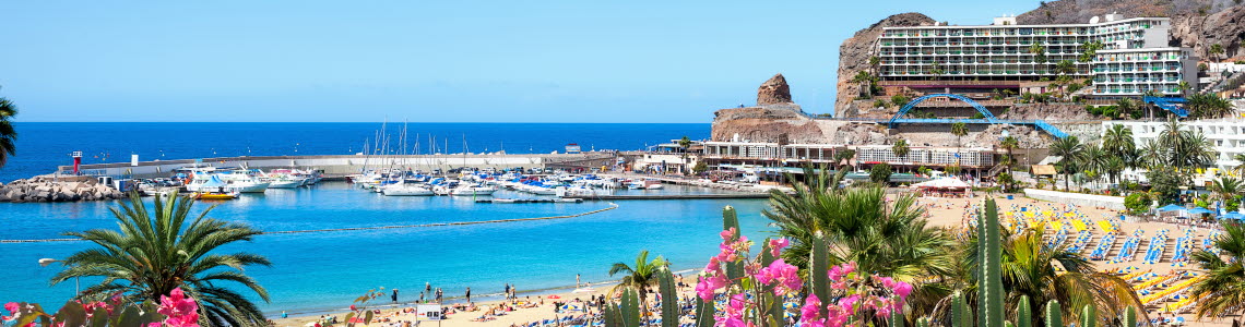 Strand på Gran Canaria med rosa blommor i förgrunden