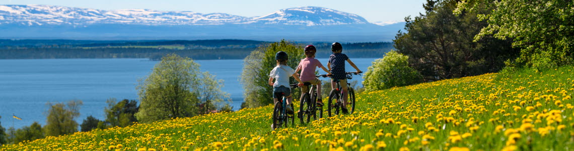 Cykeltur Frösön