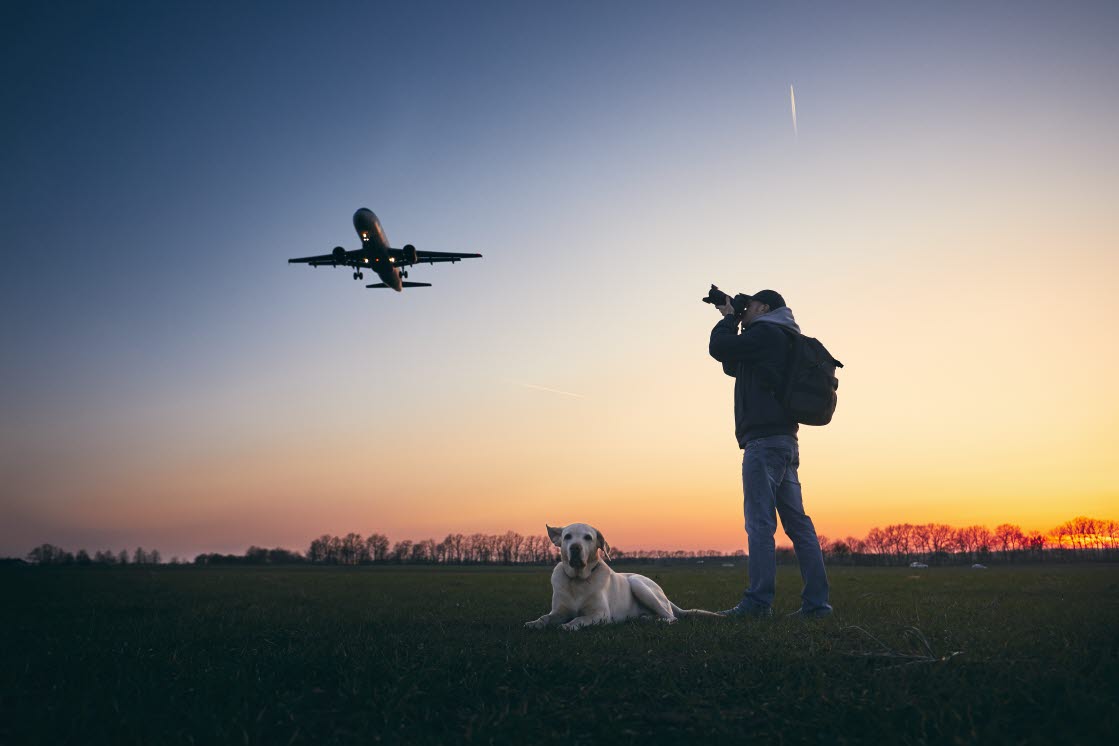 Plane spotting