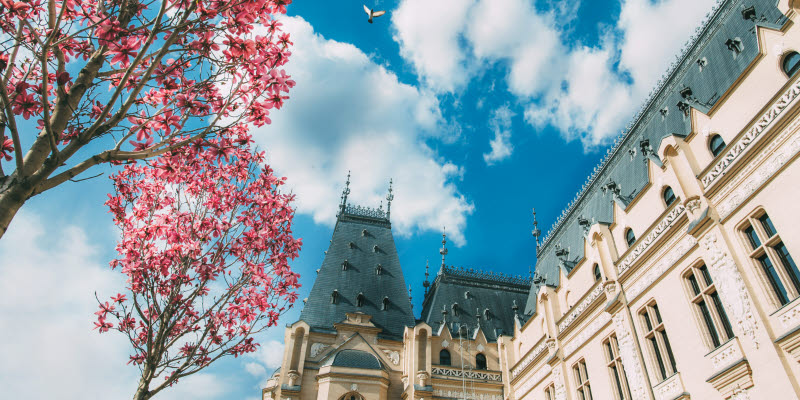 Trees and a building with blue sky and clouds.