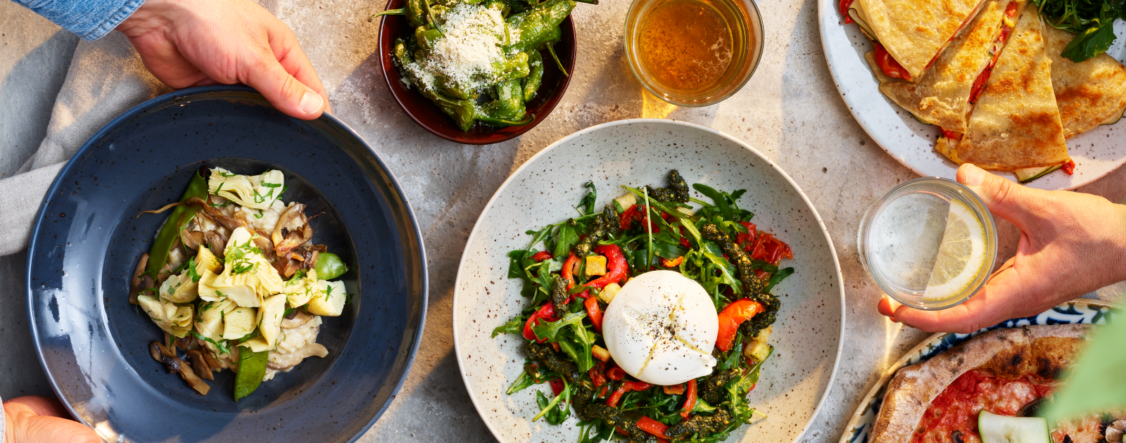 Plates and bowls with colourful meals against a concrete background.