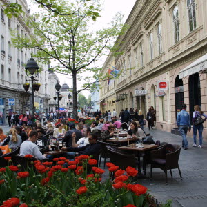 Torg med röda blommor i förgrunden