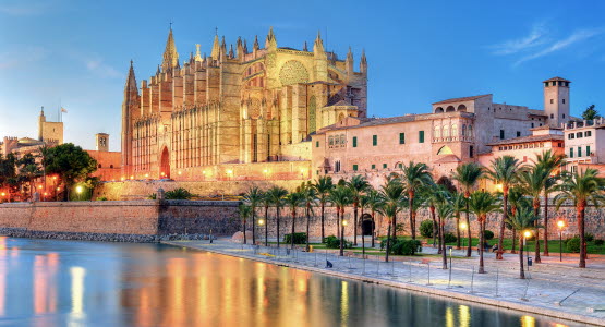Palma Mallorca beach and palm trees