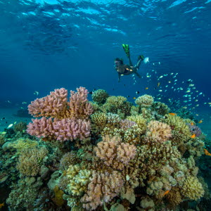 GettyImages-932631960