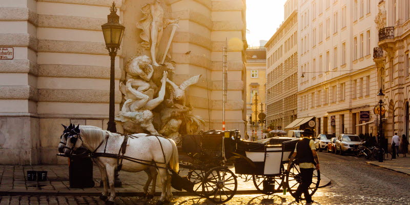 A horse standing in te streets of Vienna