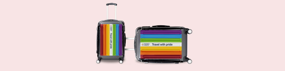 An illustration of two suitcases 