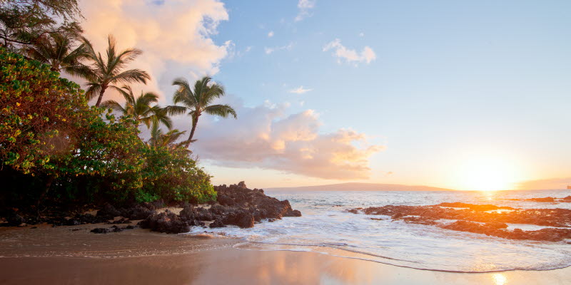 Hawaii beach