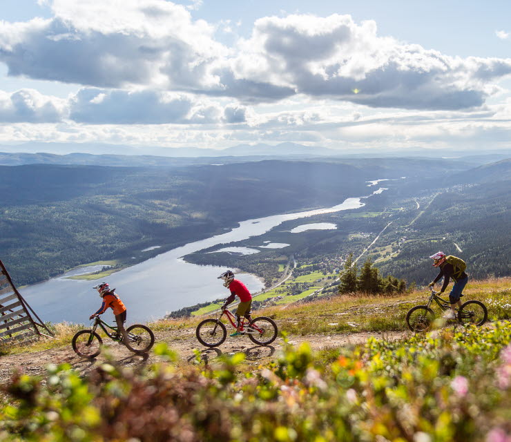 People on bikes at a mountain in Sweden